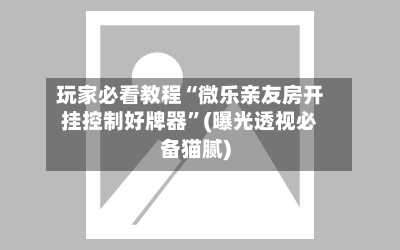 玩家必看教程“微乐亲友房开挂控制好牌器”(曝光透视必备猫腻)-第2张图片