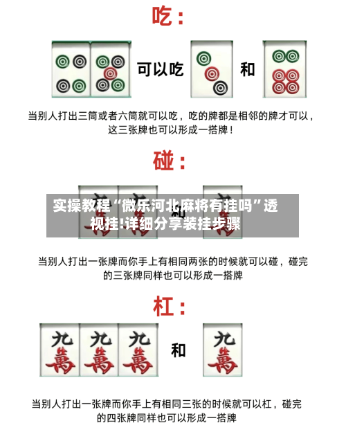 实操教程“微乐河北麻将有挂吗”透视挂!详细分享装挂步骤-第3张图片