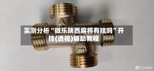 实测分析“微乐陕西麻将有挂吗”开挂(透视)辅助教程-第3张图片