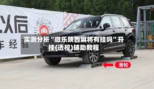 实测分析“微乐陕西麻将有挂吗”开挂(透视)辅助教程-第2张图片