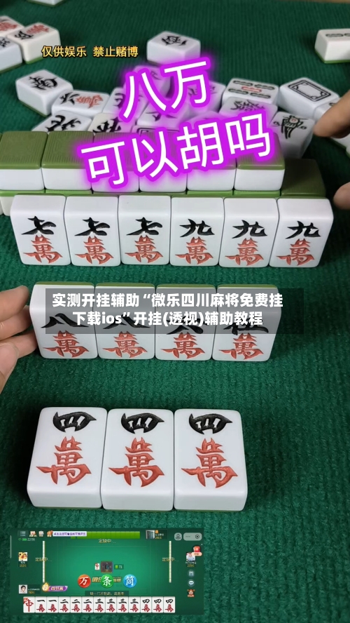 实测开挂辅助“微乐四川麻将免费挂下载ios	”开挂(透视)辅助教程-第2张图片