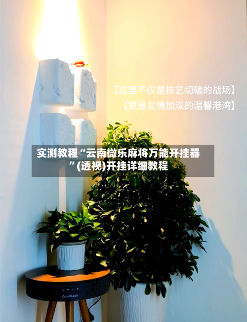 实测教程“云南微乐麻将万能开挂器	”(透视)开挂详细教程-第2张图片