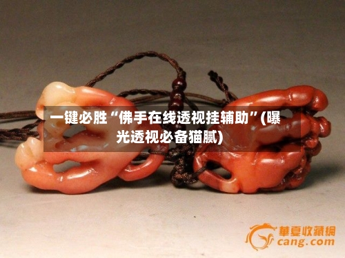 一键必胜“佛手在线透视挂辅助”(曝光透视必备猫腻)-第2张图片