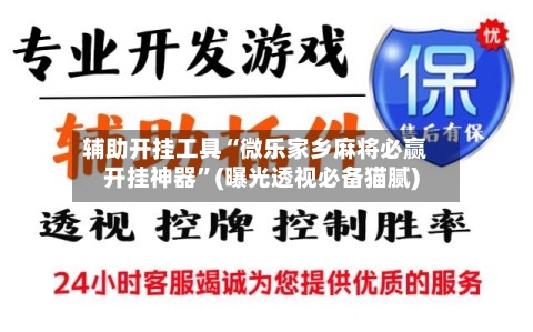 辅助开挂工具“微乐家乡麻将必赢开挂神器”(曝光透视必备猫腻)