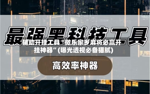 辅助开挂工具“微乐家乡麻将必赢开挂神器”(曝光透视必备猫腻)-第3张图片