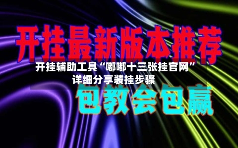 开挂辅助工具“嘟嘟十三张挂官网”详细分享装挂步骤-第3张图片