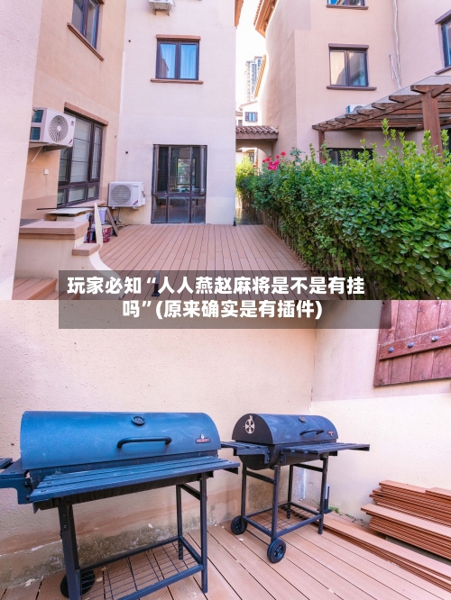玩家必知“人人燕赵麻将是不是有挂吗”(原来确实是有插件)-第2张图片