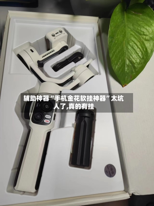 辅助神器“手机金花软挂神器”太坑人了,真的有挂-第3张图片