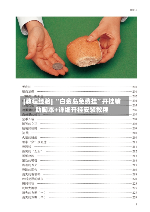[教程经验] “白金岛免费挂”开挂辅助脚本+详细开挂安装教程-第2张图片