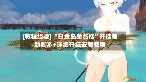[教程经验] “白金岛免费挂”开挂辅助脚本+详细开挂安装教程-第3张图片
