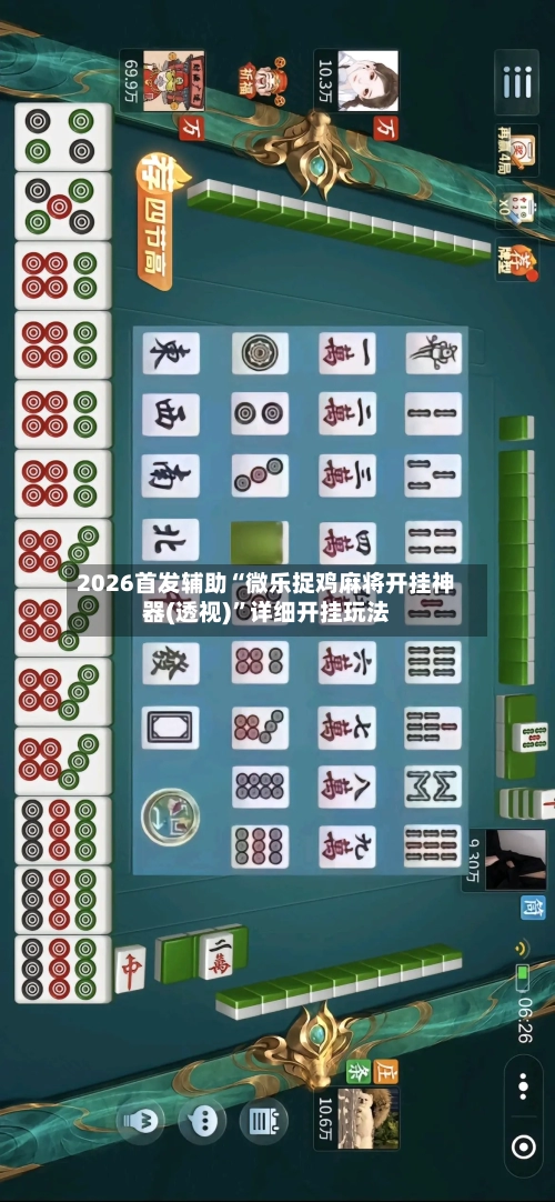 2026首发辅助“微乐捉鸡麻将开挂神器(透视)”详细开挂玩法-第3张图片