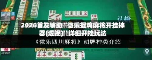 2026首发辅助“微乐捉鸡麻将开挂神器(透视)	”详细开挂玩法-第2张图片