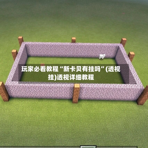 玩家必看教程“新卡贝有挂吗”(透视挂)透视详细教程-第2张图片