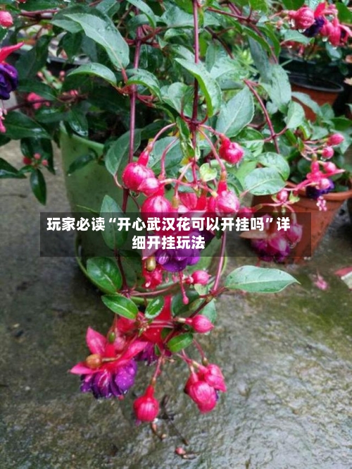 玩家必读“开心武汉花可以开挂吗”详细开挂玩法-第2张图片