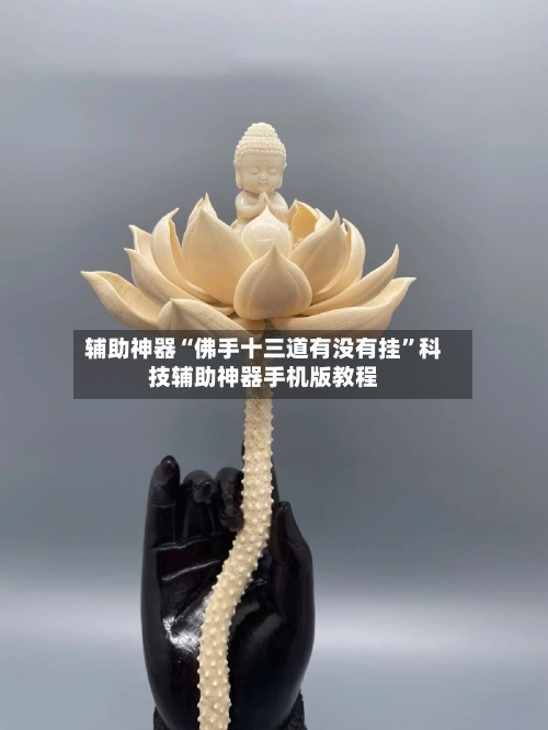 辅助神器“佛手十三道有没有挂”科技辅助神器手机版教程-第2张图片