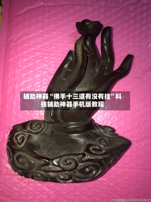 辅助神器“佛手十三道有没有挂”科技辅助神器手机版教程-第3张图片
