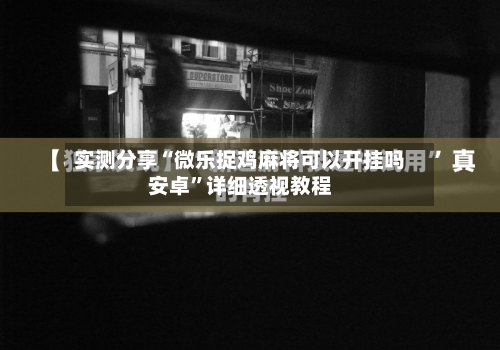 实测分享“微乐捉鸡麻将可以开挂吗安卓	”详细透视教程-第2张图片