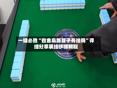 一键必胜“白金岛跑胡子有挂吗”详细分享装挂步骤教程