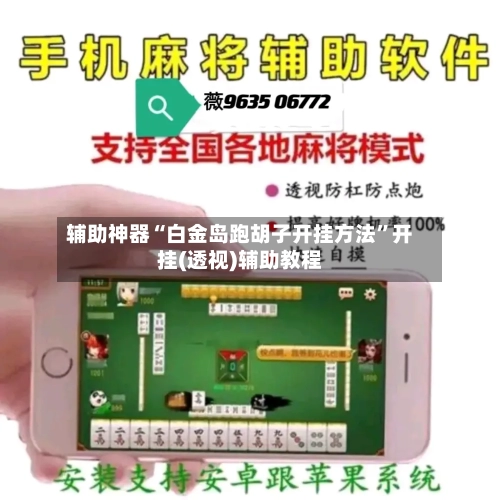 辅助神器“白金岛跑胡子开挂方法”开挂(透视)辅助教程-第2张图片