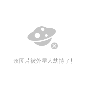 一键必胜“手机麻将挂100元一个”(透视挂)辅助透视教程-第2张图片