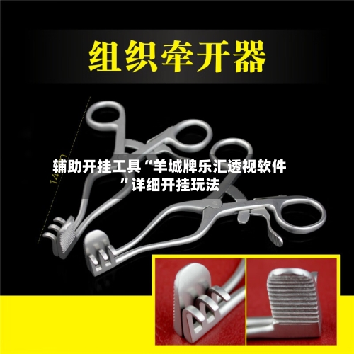 辅助开挂工具“羊城牌乐汇透视软件”详细开挂玩法-第2张图片