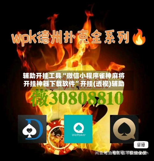 辅助开挂工具“微信小程序雀神麻将开挂神器下载软件”开挂(透视)辅助-第3张图片