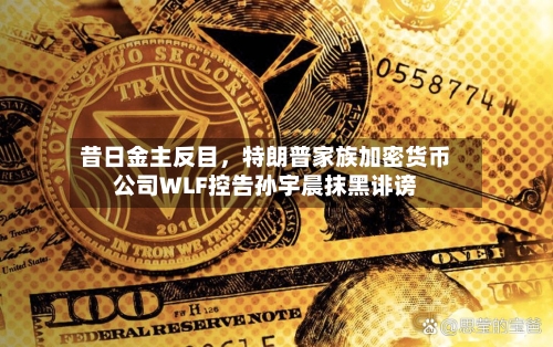昔日金主反目，特朗普家族加密货币公司WLF控告孙宇晨抹黑诽谤-第2张图片