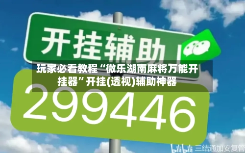 玩家必看教程“微乐湖南麻将万能开挂器”开挂(透视)辅助神器-第3张图片