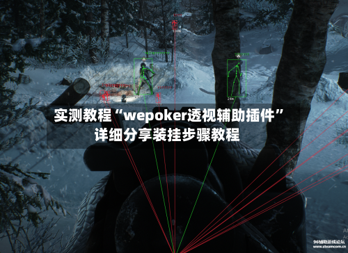 实测教程“wepoker透视辅助插件”详细分享装挂步骤教程-第2张图片