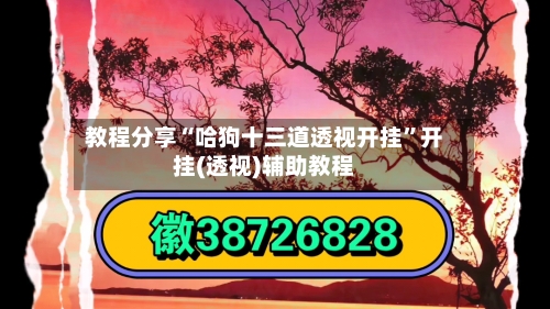 教程分享“哈狗十三道透视开挂”开挂(透视)辅助教程