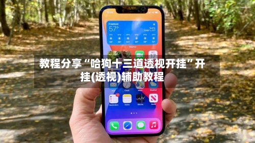 教程分享“哈狗十三道透视开挂”开挂(透视)辅助教程-第2张图片