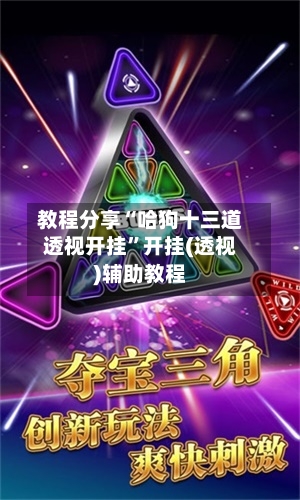 教程分享“哈狗十三道透视开挂”开挂(透视)辅助教程-第3张图片