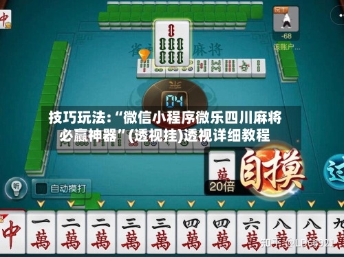技巧玩法:“微信小程序微乐四川麻将必赢神器	”(透视挂)透视详细教程-第2张图片