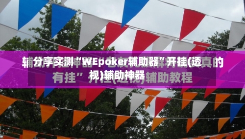 分享实测“WEpoker辅助器”开挂(透视)辅助神器-第2张图片