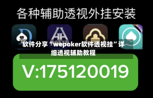软件分享“wepoker软件透视挂”详细透视辅助教程-第3张图片