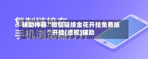 辅助神器“微信链接金花开挂免费版	”开挂(透视)辅助-第3张图片