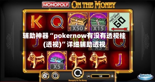 辅助神器“pokernow有没有透视挂(透视)”详细辅助透视-第3张图片