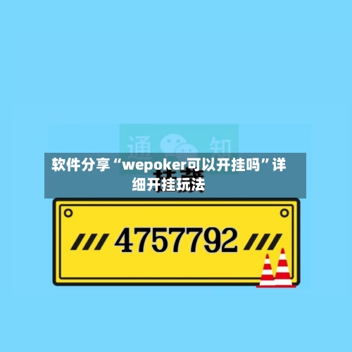 软件分享“wepoker可以开挂吗	”详细开挂玩法-第2张图片