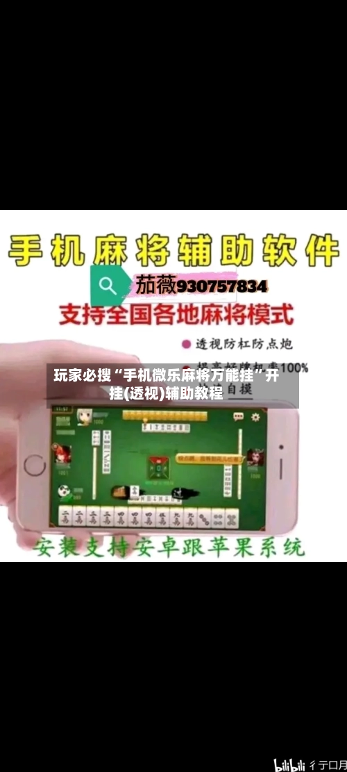 玩家必搜“手机微乐麻将万能挂”开挂(透视)辅助教程-第2张图片