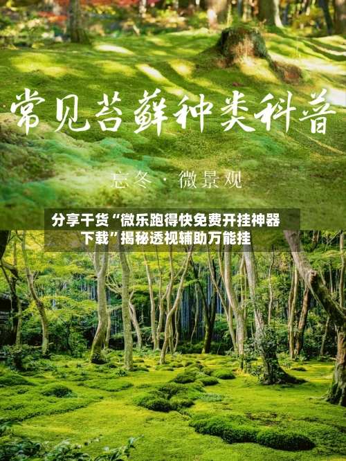 分享干货“微乐跑得快免费开挂神器下载	”揭秘透视辅助万能挂-第3张图片