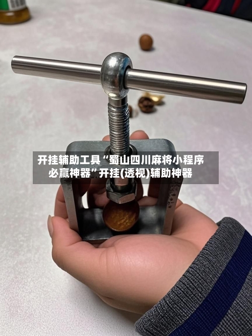 开挂辅助工具“蜀山四川麻将小程序必赢神器”开挂(透视)辅助神器-第3张图片