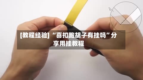 [教程经验] “喜扣跑胡子有挂吗”分享用挂教程-第3张图片