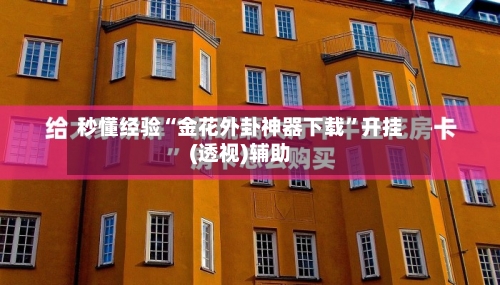 秒懂经验“金花外卦神器下载”开挂(透视)辅助-第3张图片