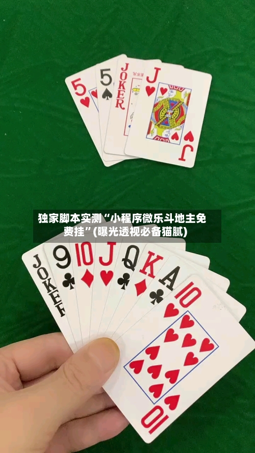 独家脚本实测“小程序微乐斗地主免费挂”(曝光透视必备猫腻)-第2张图片