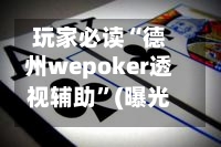 玩家必读“德州wepoker透视辅助	”(曝光透视必备猫腻)-第2张图片