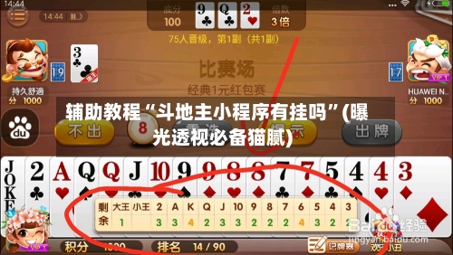 辅助教程“斗地主小程序有挂吗”(曝光透视必备猫腻)-第2张图片