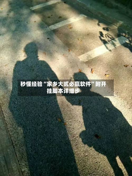 秒懂经验“家乡大贰必赢软件”附开挂脚本详细步-第2张图片