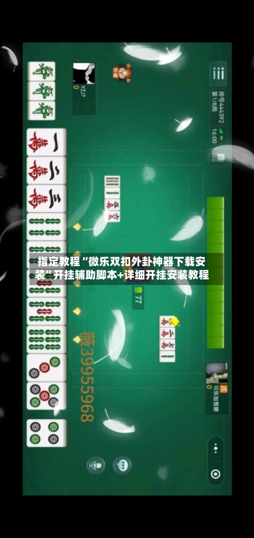 指定教程“微乐双扣外卦神器下载安装”开挂辅助脚本+详细开挂安装教程-第2张图片