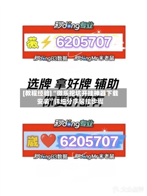[教程经验]“微乐挖坑开挂神器下载安装	”详细分享装挂步骤-第2张图片