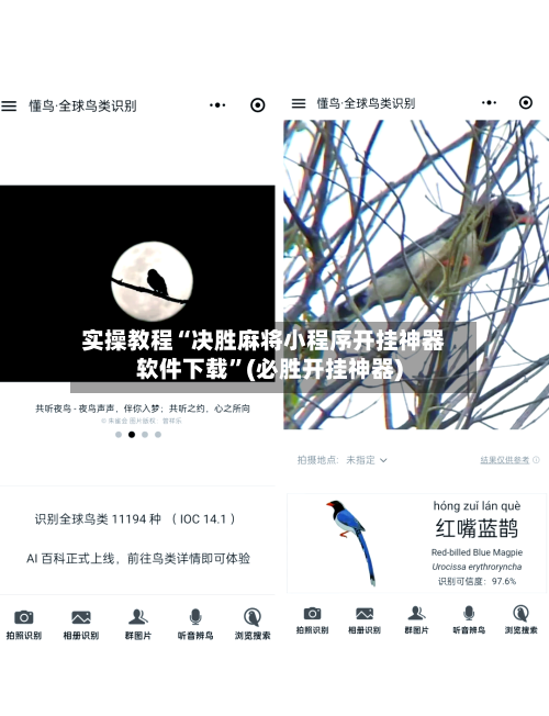 实操教程“决胜麻将小程序开挂神器软件下载	”(必胜开挂神器)-第2张图片